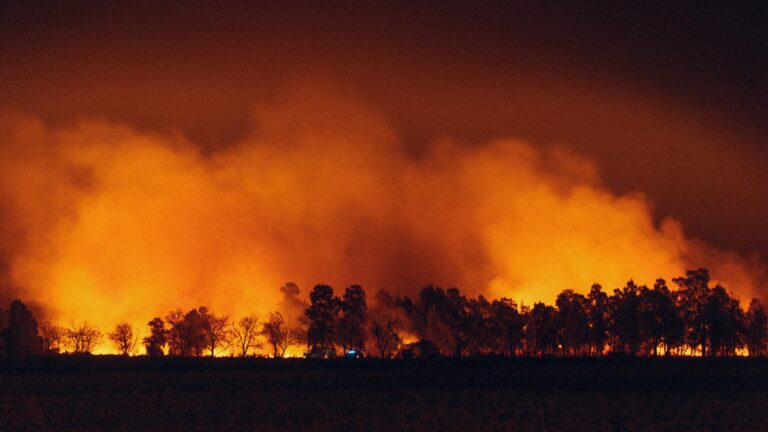 Wildfire burning